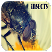 Insects Sounds APK