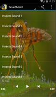 Insects Sounds poster