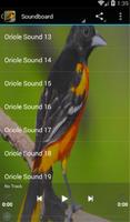 Oriole Sounds gönderen