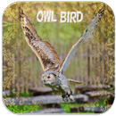 Owl Sounds APK