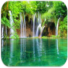 Sonidos de la naturaleza