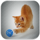 Squeaky Toy APK
