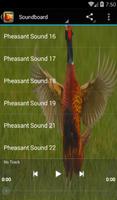 Pheasant Sounds screenshot 2