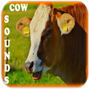 Free Cow Sounds APK