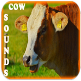 ikon Gratis Sapi Suara