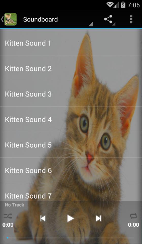 Звуки котят для кошки живой звук