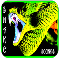 Snake Sounds