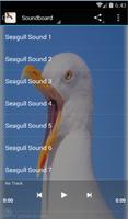 Seagull Bird Sounds โปสเตอร์