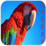 Parrot Sounds icône