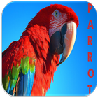 Parrot Sounds ไอคอน