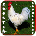 Rooster Soundboard icône