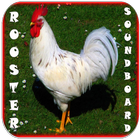 آیکون‌ Rooster Soundboard