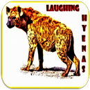 Hyena Sounds APK