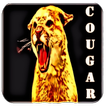 Cougar Sounds and Ringtones