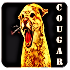 Cougar sonidos icono