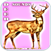 ”Deer Sounds