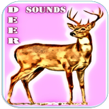 Deer Sounds 아이콘