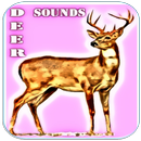 Deer Sounds APK