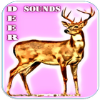 Deer Dźwięki ikona