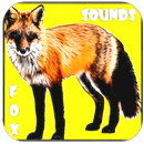 Fox Sounds and Ringtones APK