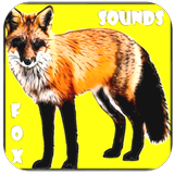 Fox Sounds and Ringtones icône