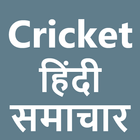 Cricket Samachaar Hindi icône