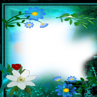 lien Photo flower Frames иконка