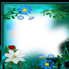 lien Photo flower Frames ikon