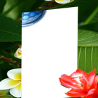Photo fairies flower frame ikona
