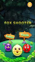 Fox Shooter 3D Affiche