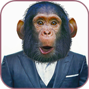 Animal Faces Photo Maker APK