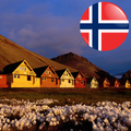 In Sight - Svalbard+