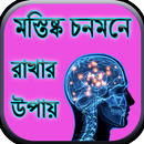 মস্তিষ্ক চনমনে রাখার উপায় APK