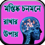 মস্তিষ্ক চনমনে রাখার উপায় biểu tượng