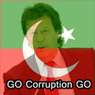 PTI Flag Face icône
