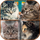 Котята молнии блокировки APK