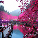 Japan Tourist Attractions APK