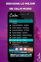 Calm Music Screenshot 2