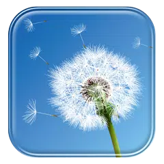 Dandelion Live Wallpaper APK download