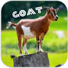 Goat Sounds ไอคอน