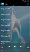 Beluga sons des baleines Affiche