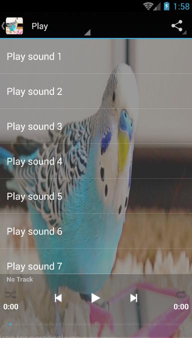 Звуки Попугая Для Андроид - Скачать APK