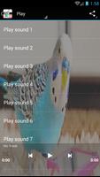 Parakeet sounds capture d'écran 1