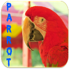آیکون‌ Parrot Sounds