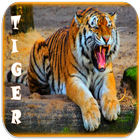 Tiger Sonneries icône