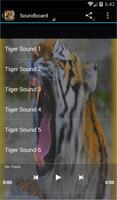 Tiger Sonneries Affiche