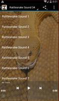 Rattlesnake Sounds โปสเตอร์