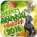 Звуки животных мелодии APK