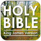 Bíblia Sagrada: King James Ver ícone