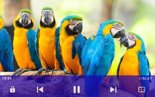 Full HD Video Audio Player poster